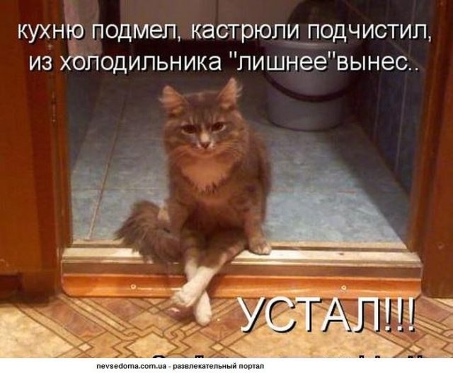 ***Victoria Viktorovna*** - 4  2019  09:35