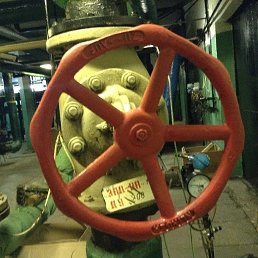 ���� ������, ������, 39 ��� - ��������� 16 ���� 2019