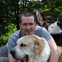 ���� ������, ������, 38 ��� - ��������� 1 ������ 2019 � ������ ���� ����������