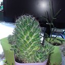 ���� ������ �������������, ������, 53 ���� - ��������� 17 ���� 2019 � ������ �������