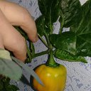 ���� ����, �������, 49 ��� - ��������� 28 ������ 2019 � ������ ��������� ��������