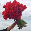 ���� ����, ���������, 58 ��� - ��������� 16 ���� 2019 � ������ ���� ����������