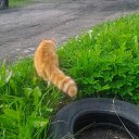 ���� �����., ������, 57 ��� - ��������� 25 ������� 2019 � ������ ������ ��������