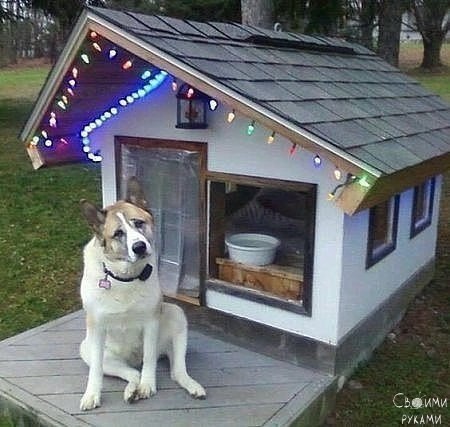 Вот это будка!! =)