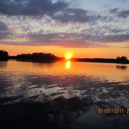 ���� ������, ������������, 61 ��� - ��������� 29 ����� 2019