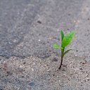  ••,  -  11  2019       ...