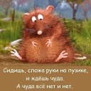 ���� ������, ��������� - ��������� 24 ������ 2019 � ������ ���� ����������