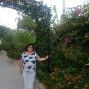 ���� �����, ������������ - ��������� 14 ������ 2019 � ������ ���� ����������