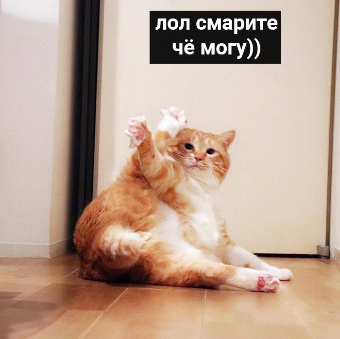  ,        : - 7