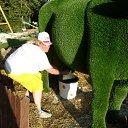  ,  , 52  -  11  2019   2019