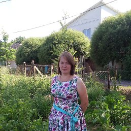 ������, �����-���������, 41 ���