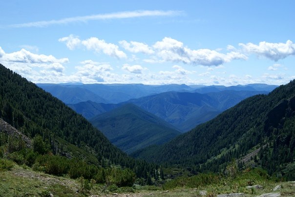 Snow Rose - 25 ��� 2019 � 12:50