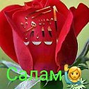 ���� ����, ���������� - ��������� 24 ��� 2019