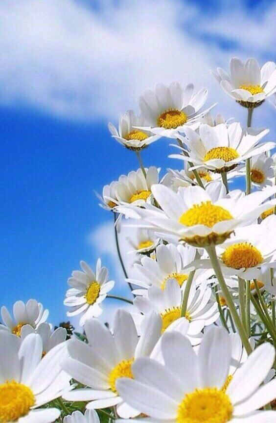  - 21  2019  13:39 - 3