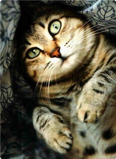  |  | - - 21  2019  00:56 - 5