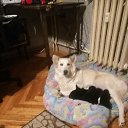 ���� Damyan Nikolov, �����, 64 ���� - ��������� 24 ������ 2019 � ������ �������