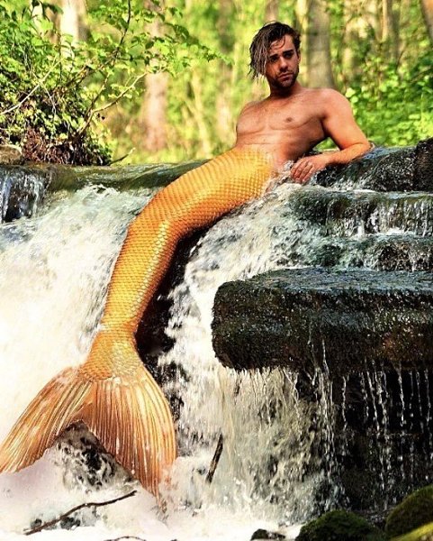 �������� ����� �� ������� ������� �� ������� ������ �������. �� o���� �� ���� 1500$. ����� ...