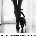 ���� ��������, ��������� - ��������� 31 ������� 2019 � ������ ���� ����������