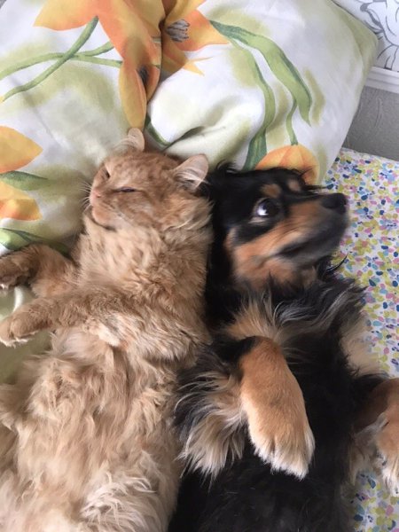 ������ � ����