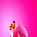 ���� Jos&eacute;phine, �����, 53 ���� - ��������� 9 ��� 2019 � ������ ���� ����������