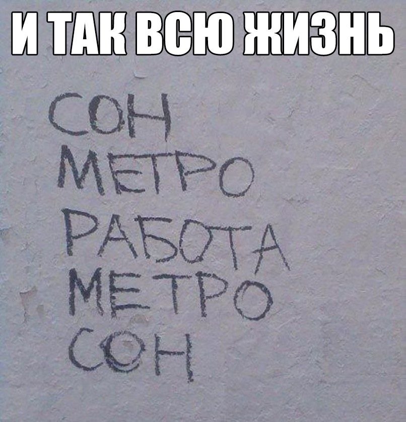    :D - 2  2019  17:29