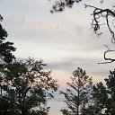 ���� �������, ������������, 59 ��� - ��������� 29 ���� 2019 � ������ ������� ������