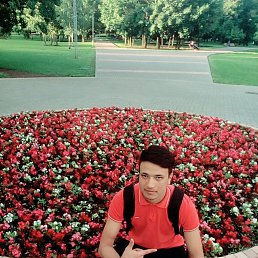 ��������, �����������, 29 ���