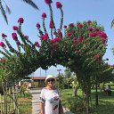 ���� �����, ���������, 62 ���� - ��������� 14 �������� 2019 � ������ ���� ����������