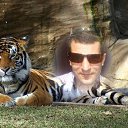 ���� �����, ���������, 41 ��� - ��������� 22 ������ 2019 � ������ ���� ����������