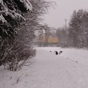 ���� Nik, ������������, 56 ��� - ��������� 11 ������ 2019 � ������ ���� ����������