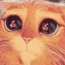 ���� ������, �������, 61 ��� - ��������� 25 ������ 2019 � ������ ���� ����������