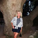 ���� ��������, ������, 53 ���� - ��������� 23 ���� 2019 � ������ ���� ����������