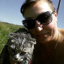 �����, ����-���������, 44 ����