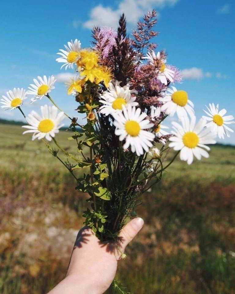 -  ? -    . -  .