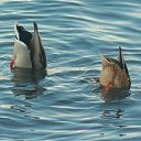 ���� ��������, ���������, 65 ��� - ��������� 23 ������ 2019 � ������ ���� ����������