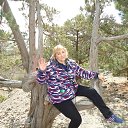 ������ 2019 ����� ���� �� ������� ���� ����������