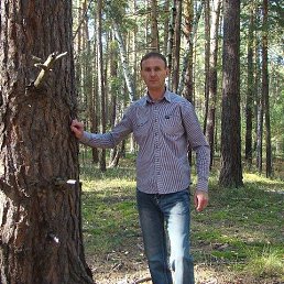 �����, ���������, 53 ����