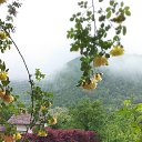 ��� � ���� �� ������� ��������