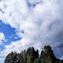  , , 65  -  9  2019     2019