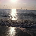 ���� ���������, ���������, 44 ���� - ��������� 30 �������� 2019 � ������ ���� ����������
