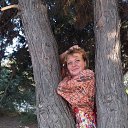 ���� ������, ��������, 53 ���� - ��������� 26 ��� 2019 � ������ ������ ��������