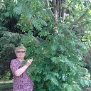 ���� ����, ������, 72 ���� - ��������� 6 ���� 2019 � ������ ���� ����������