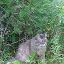 ���� �����, �������� - ��������� 4 �������� 2019 � ������ ���� ��������.�