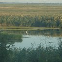 ���� ��������, ���������, 65 ��� - ��������� 23 ������ 2019 � ������ ���� ����������