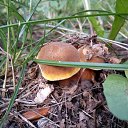 ������� ������ ))) �� ������� ��������-��� ������