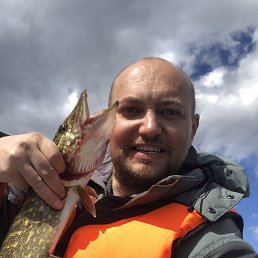 ���� ������, ����, 45 ��� - ��������� 14 ��� 2019