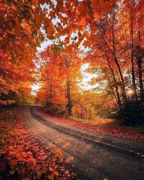  .. Muskoka, Canada