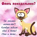 ���� �����, ������, 56 ��� - ��������� 22 ������ 2019 � ������ ������ ��������