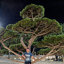 ���� ������, ������, 40 ��� - ��������� 16 �������� 2019 � ������ ���� ����������