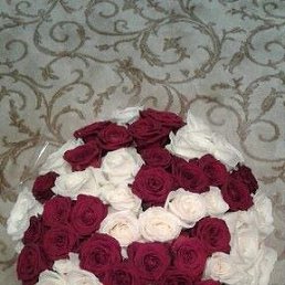 Sasha, ������, 57 ���